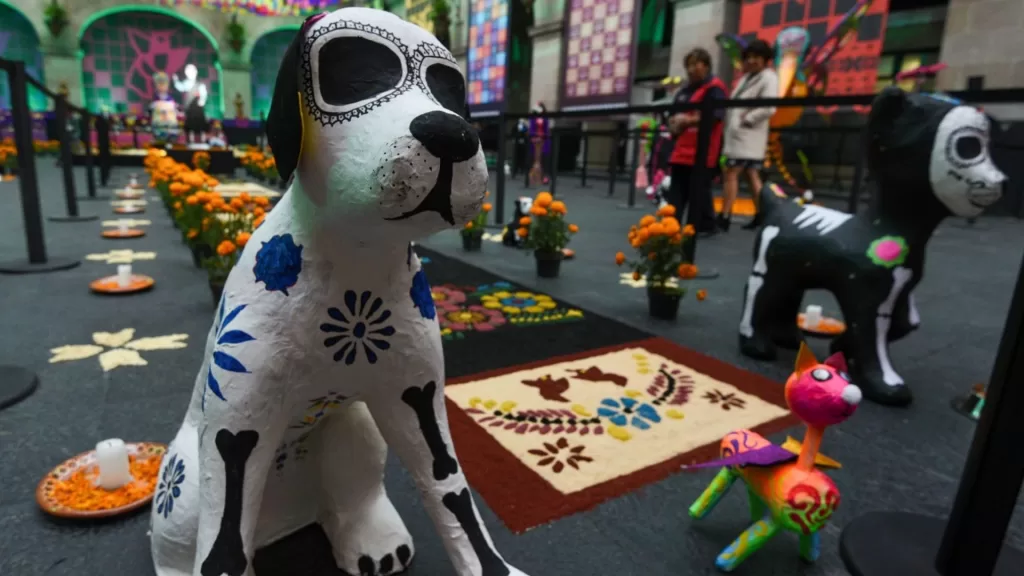 Amor y Memoria: nuestras mascotas también tienen un lugar en el Día de Muertos