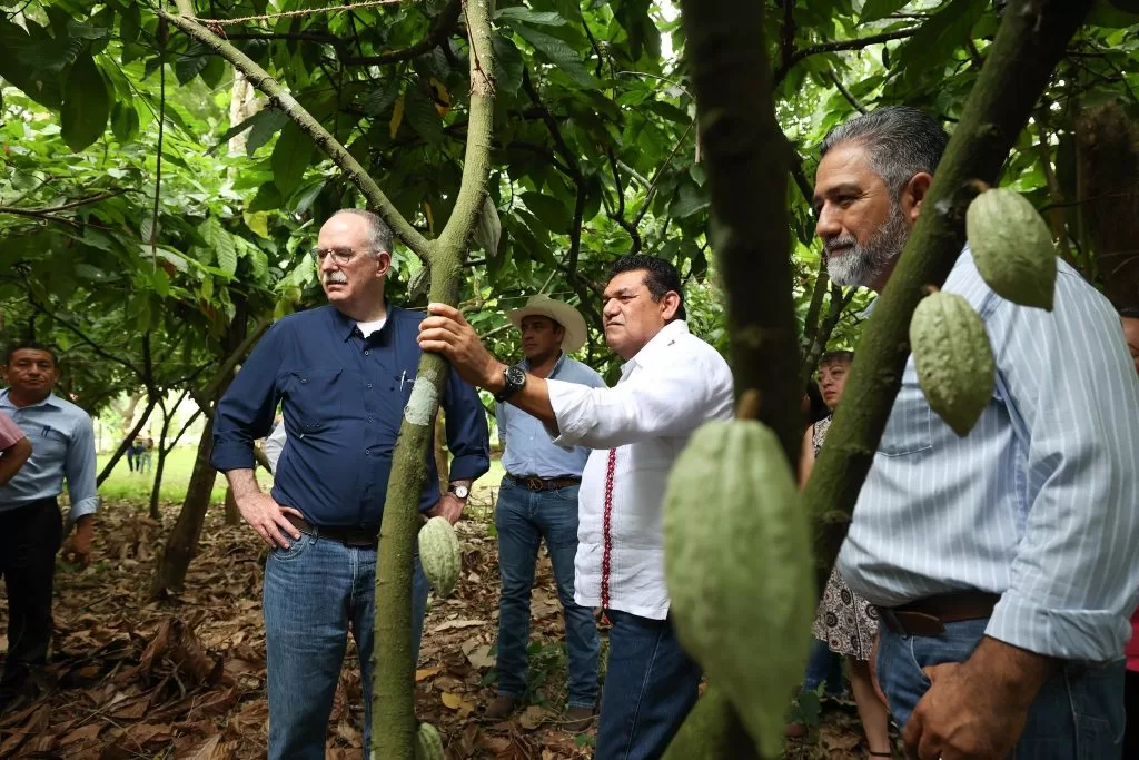 Va histórica inversión para el sector agropecuario en Tabasco