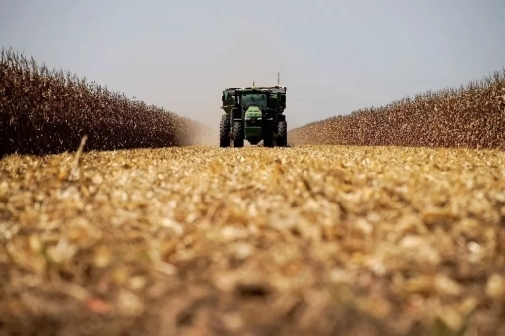 Busca EE.UU. que México sea su principal socio comercial de agroalimentos