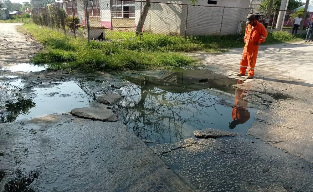 Dengue, un problema recurrente que afecta a miles de familias en Jonuta