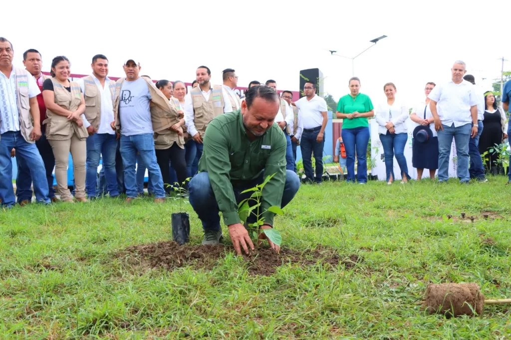 Cárdenas impulsa reforestación urbana para combatir el calor y mejorar la calidad del aire