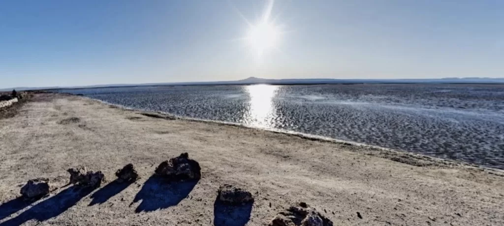 Identifican microbios vivos en el desierto más seco de la Tierra