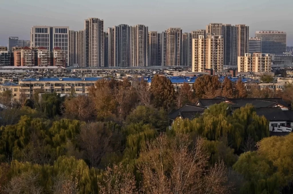 Plantar árboles incorrectos hace que ciudades sean más calurosas, revela estudio